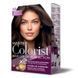 Фарба для волосся Master Colorist 5.0 Світло-коричневий, 2x50 мл+2x50 мл+10 мл 302330 фото