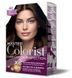 Фарба для волосся Master Colorist 4.0 Коричневий, 2x50 мл+2x50 мл+10 мл 302329 фото